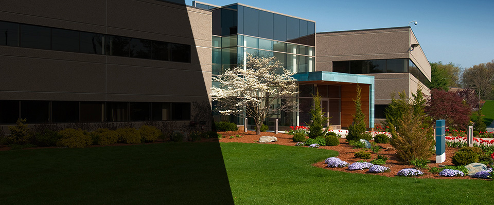 San Juan Bautista Landscapers