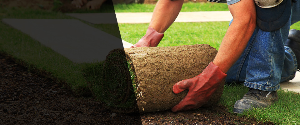 San Juan Bautista Landscapers